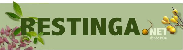 Logo Restinga
